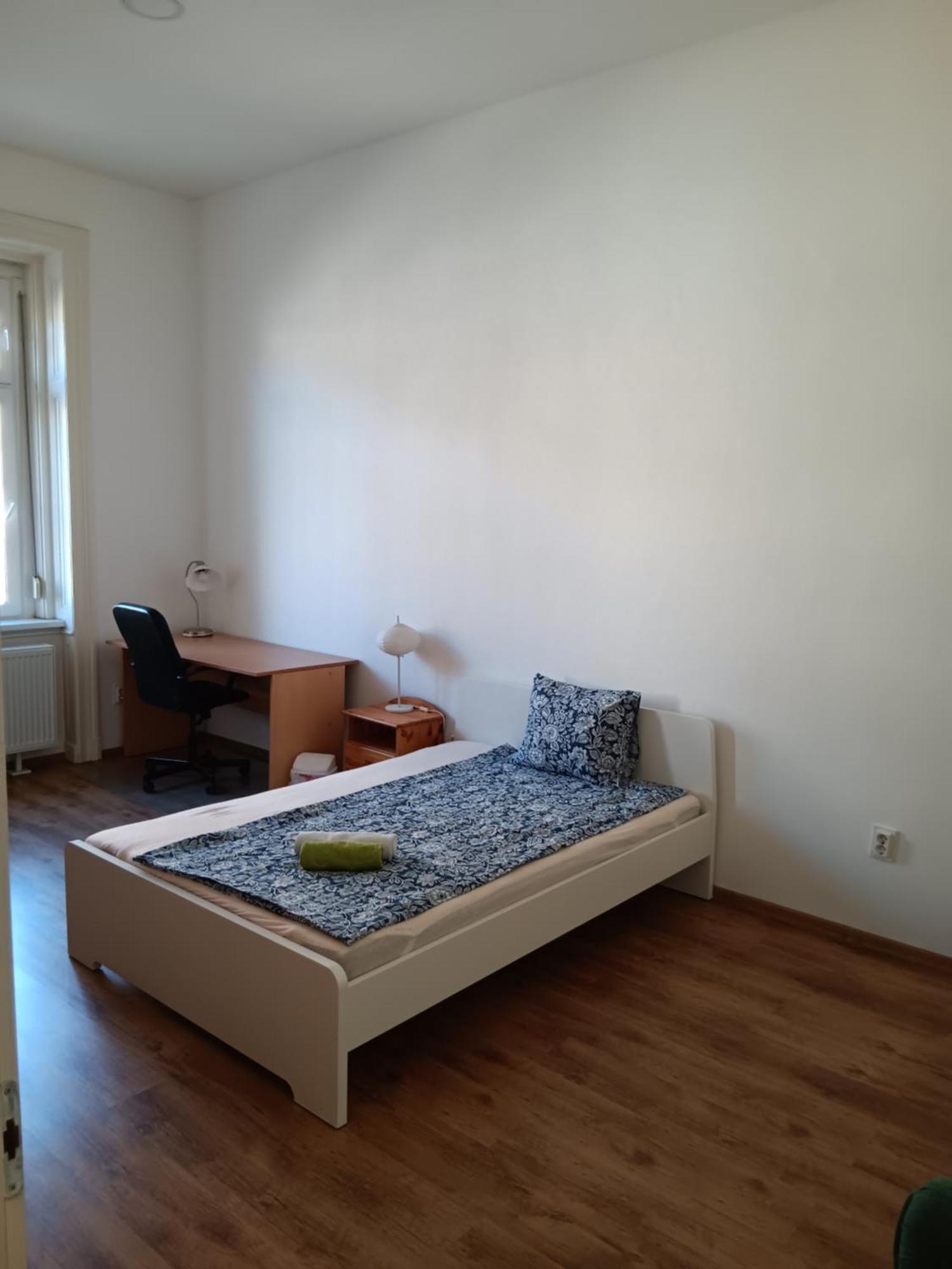 Big Cozy - Skyfall Apartment 3 Bdrm 6 Beds 1&Half Baths Βουδαπέστη Εξωτερικό φωτογραφία